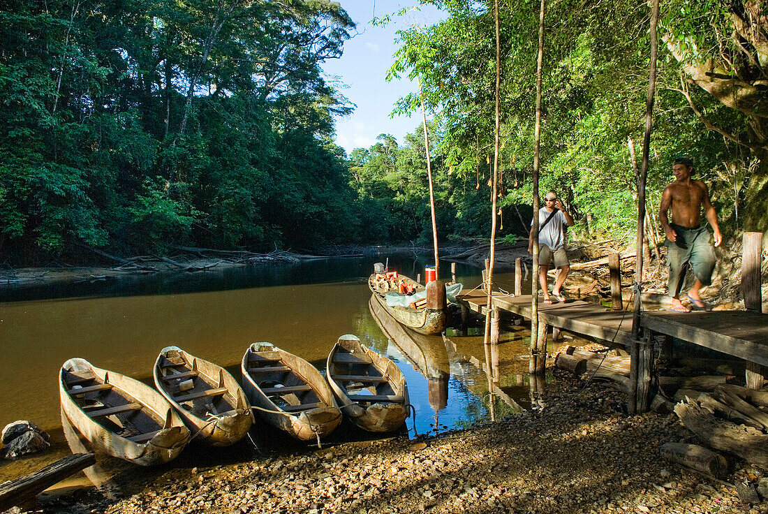 pirogues on the Kourou river,French Guiana,overseas department and region of France,Atlantic coast of South America