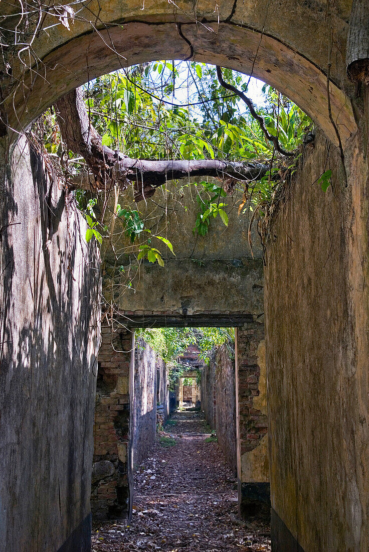 ruined cells of penal colony on Ile Saint-Joseph,Iles du Salut (Islands of Salvation),French Guiana,overseas department and region of France,Atlantic coast of South America