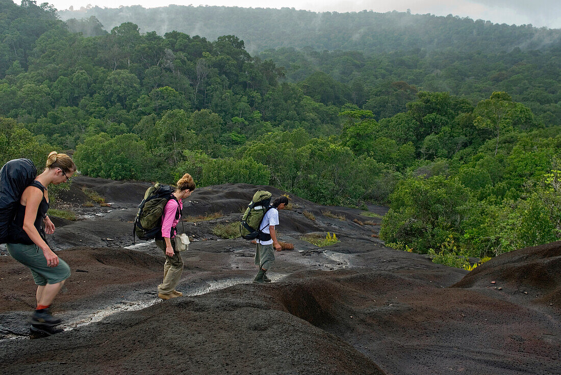 descent on inselberg,trekking in the forest,French Guiana,overseas department and region of France,Atlantic coast of South America