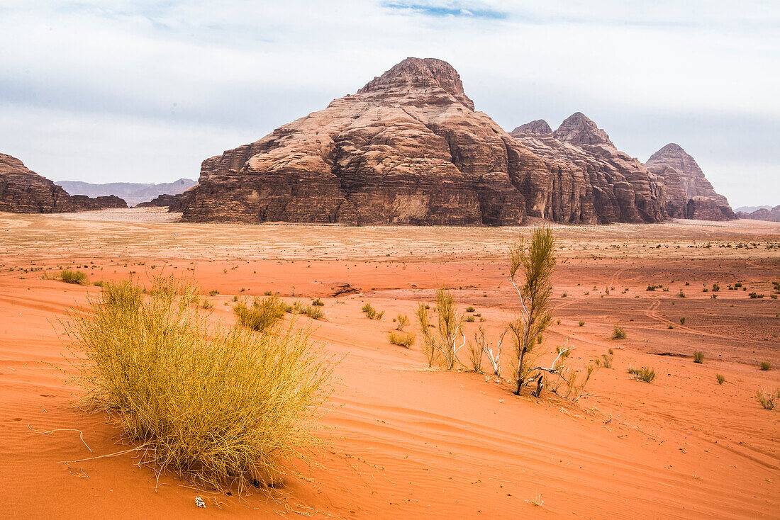 Wadi Rum, Patrimoine mondial de l'UNESCO, Jordanie, Proche-Orient, Asie occidentale // Wadi Rum, UNESCO World Heritage site, Jordan, Near East, Southern Levant, West Asia