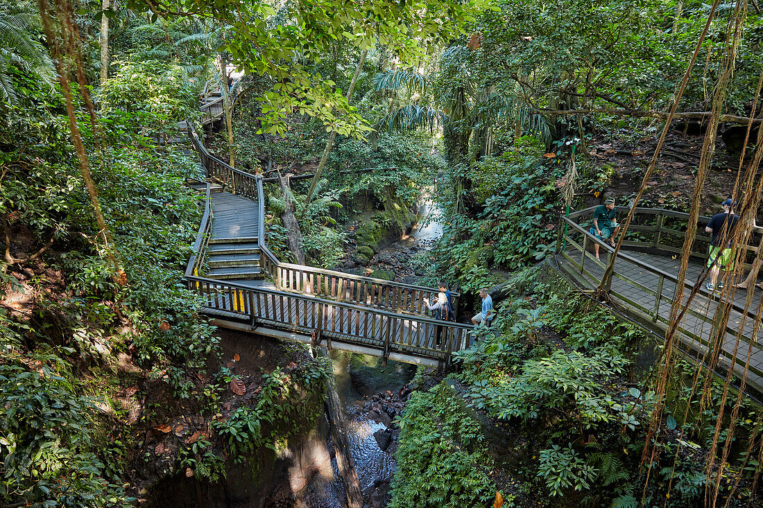  Hölzerne Fußgängerbrücke im Sacred Monkey Forest Sanctuary. Ubud, Bali, Indonesien. 