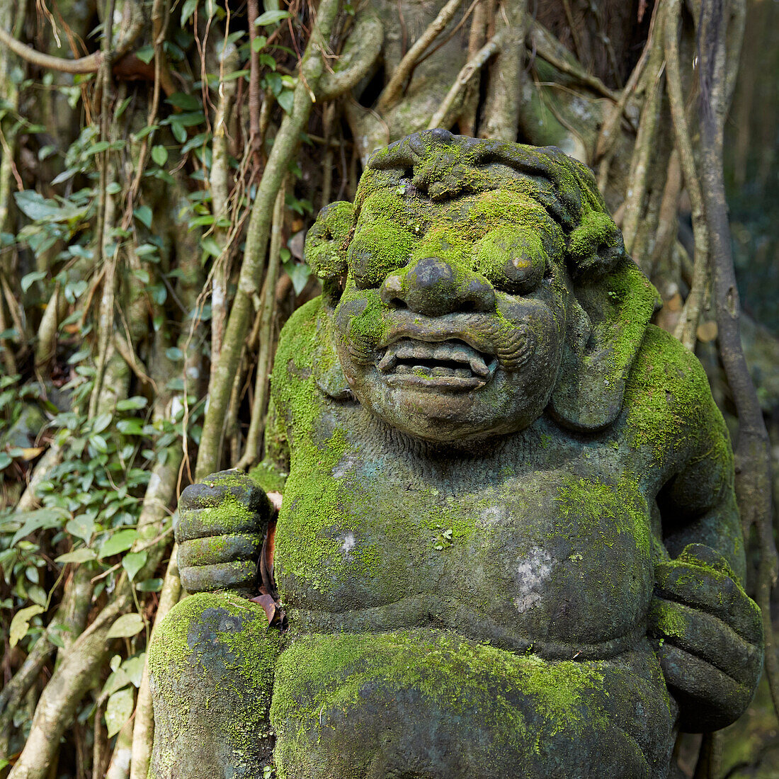  Moosbedeckte Steinstatue im Heiligen Affenwald-Schutzgebiet. Ubud, Bali, Indonesien. 