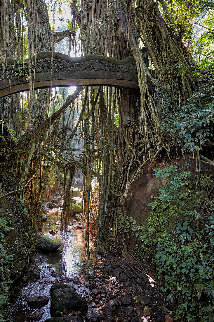  Geschnitzte Steinbrücke und verschlungene Luftwurzeln von Bäumen im Sacred Monkey Forest Sanctuary. Ubud, Bali, Indonesien. 