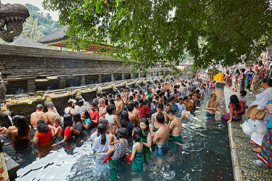  Menschen stehen Schlange, um in der heiligen Quelle eine rituelle Reinigung vorzunehmen. Tirta-Empul-Tempel, Tampaksiring, Bali, Indonesien. 