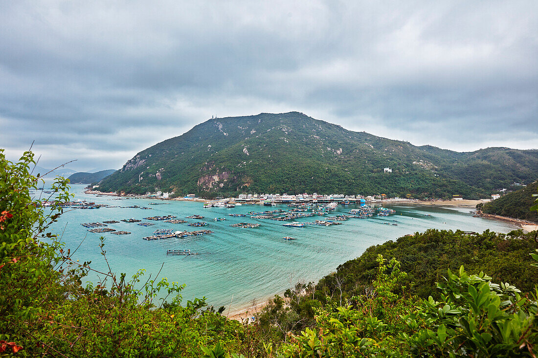 Elevated view of numerous fish farms in Sok Kwu Wan (Picnic Bay). Lamma Island, Hong Kong, China.