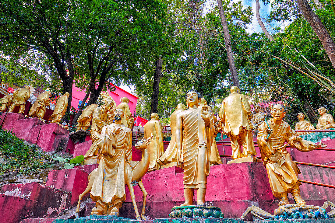  Statuen von Buddha und Arhats (buddhistisches Äquivalent von Heiligen) im Kloster der Zehntausend Buddhas (Man Fat Sze). Sha Tin, New Territories, Hongkong, China. 