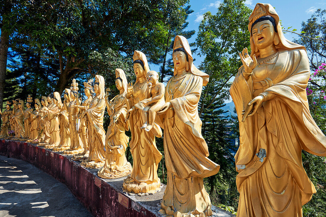  Statuen von Arhats (buddhistisches Äquivalent von Heiligen) im Kloster der Zehntausend Buddhas (Man Fat Sze). Sha Tin, New Territories, Hongkong, China. 