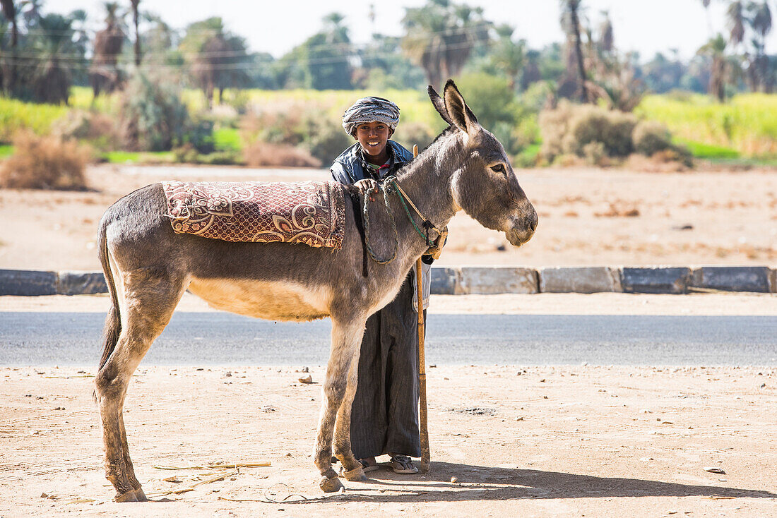 Boy and his donkey near a village on the Nile near the Necropolis of El-Kab, on the eastern bank of the Nile, Egypt, Northeast Africa