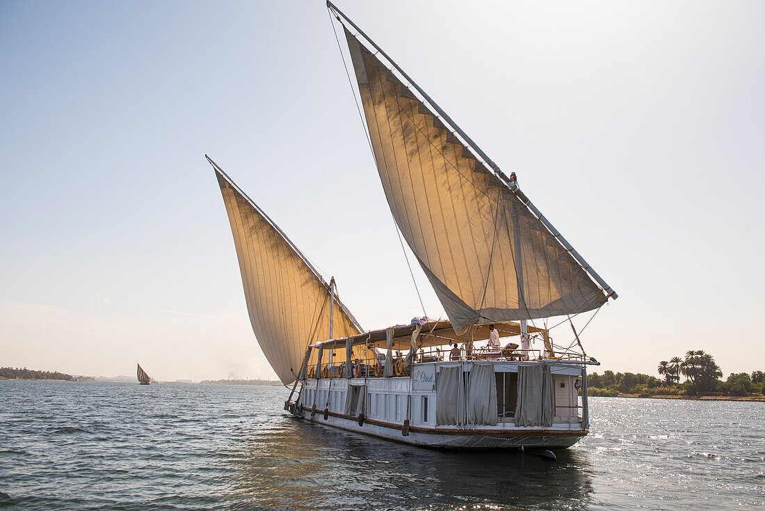 Dahabeah under sail, passenger river boat of the Lazuli fleet, sailing on the Nile river near Aswan, Egypt, northeast Africa