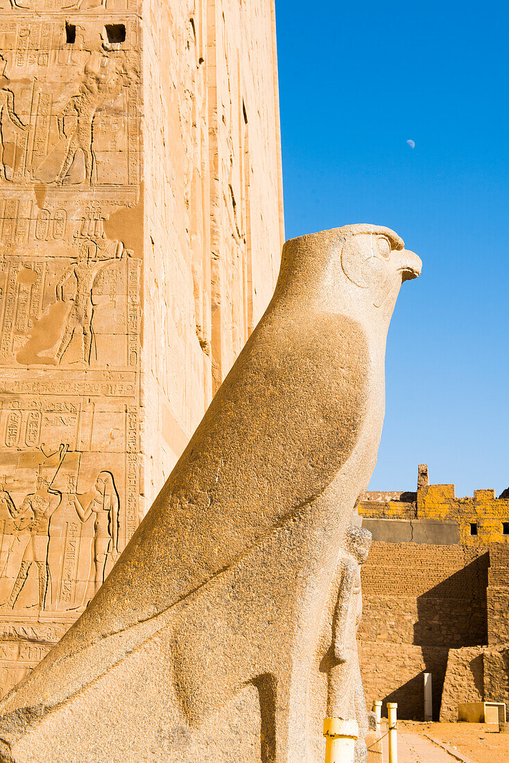 Statue of Horus beside of the first pylon, Temple of  Edfu, Egypt, Northern Africa