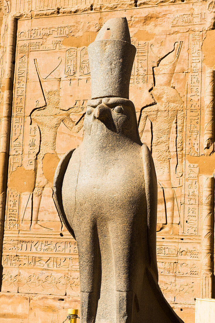 Statue of Horus in front of the entrance to the large hypostyle room, Temple of  Edfu, Egypt, Northern Africa