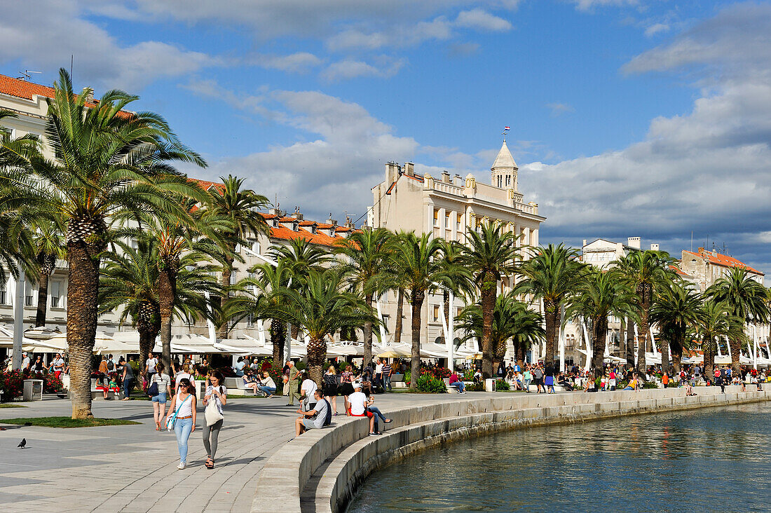 Menschen und Palmen an der Riva Strandpromenade, mit dem Diokletianspalast im Hintergrund, Altstadt, Split, Kroatien, Südosteuropa