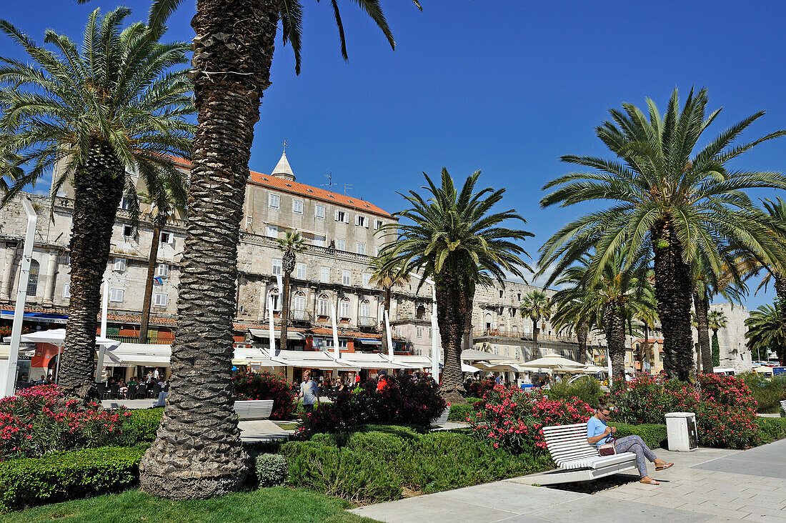 Palmenallee an der Riva Strandpromenade und Altstadt, Split, Dalmatien, Kroatien, Südosteuropa