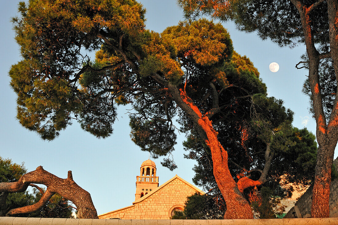 Franciscan monastery and church of Our Lady of Grace, Hvar city, Hvar island, Croatia, Southeast Europe