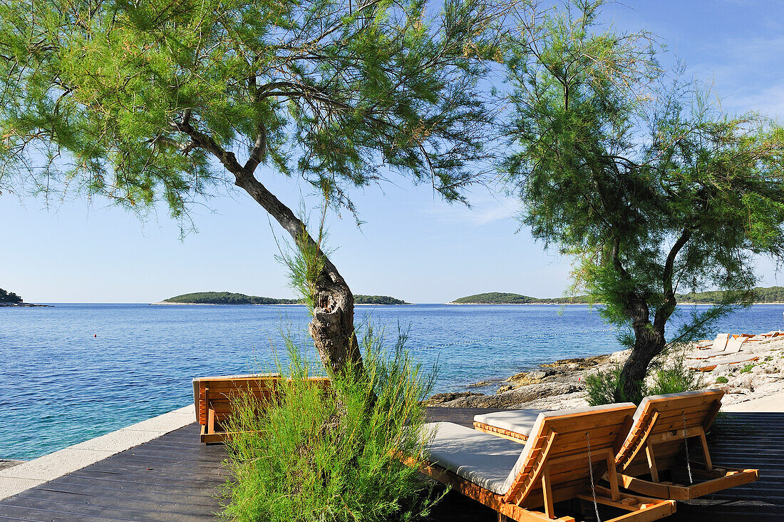 Liegestühle am Strand unter Tamarisken, in der Nähe der Stadt Hvar, Insel Hvar, Kroatien, Dalmatien, Kroatien, Südosteuropa