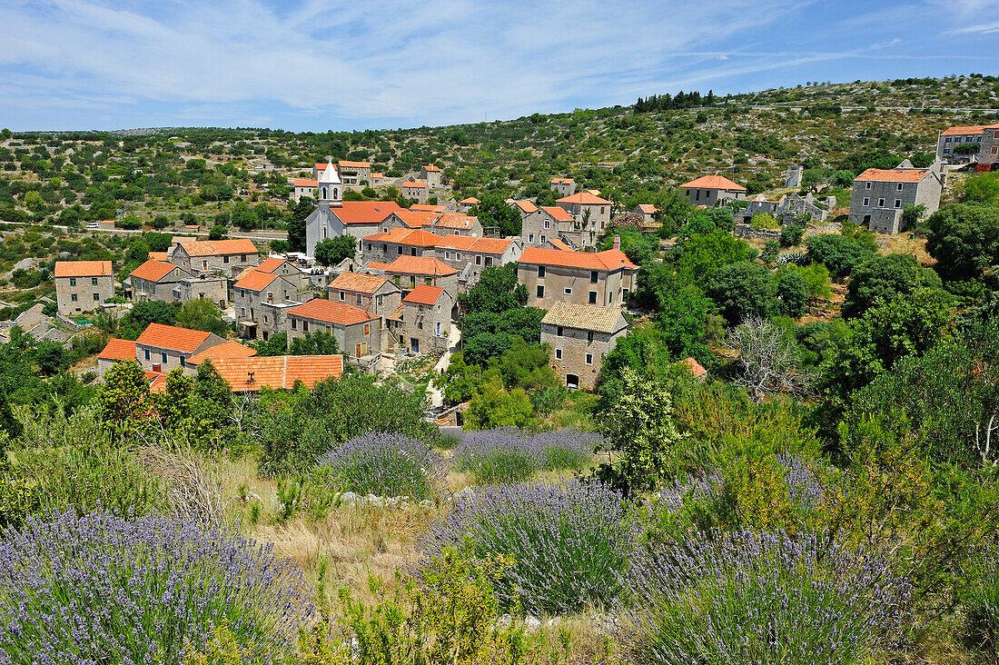 Landschaft und Dorf Velo Grablje, Insel Hvar, Dalmatien, Kroatien, Südosteuropa