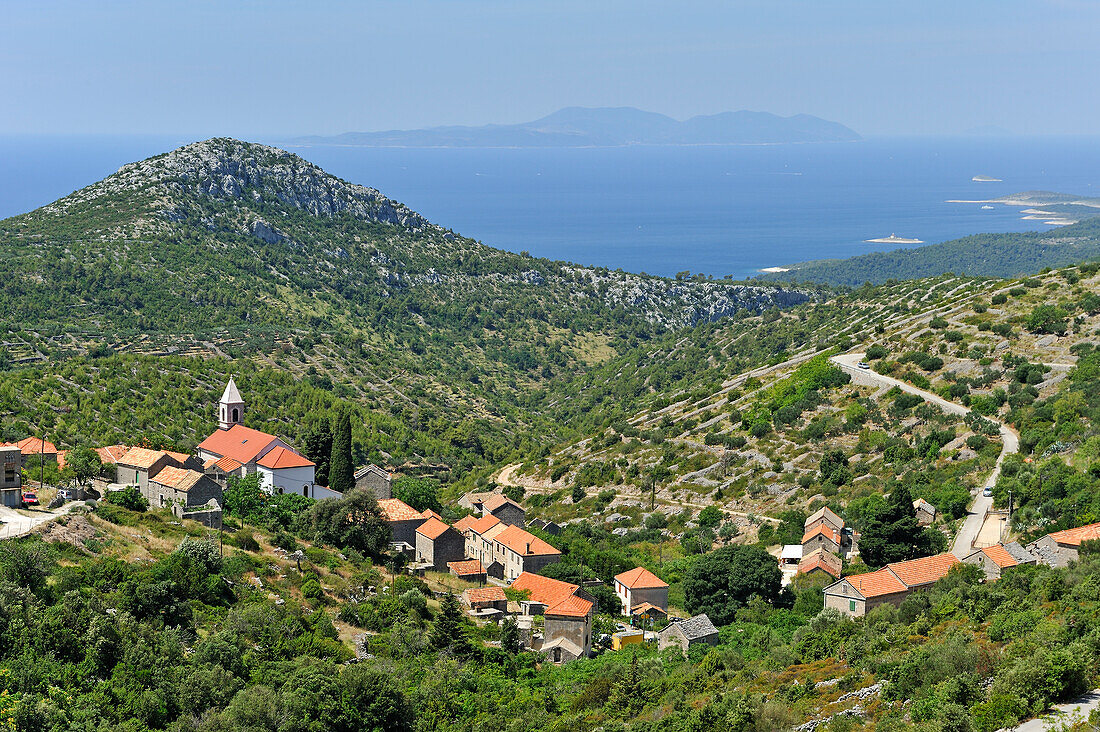 village of Velo Grablje, Hvar island, Croatia, Southeast Europe