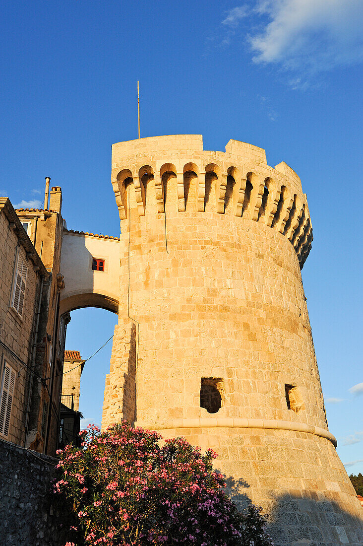 Kanavelic Tower, Korcula old town,Korcula island, Croatia, Southeast Europe