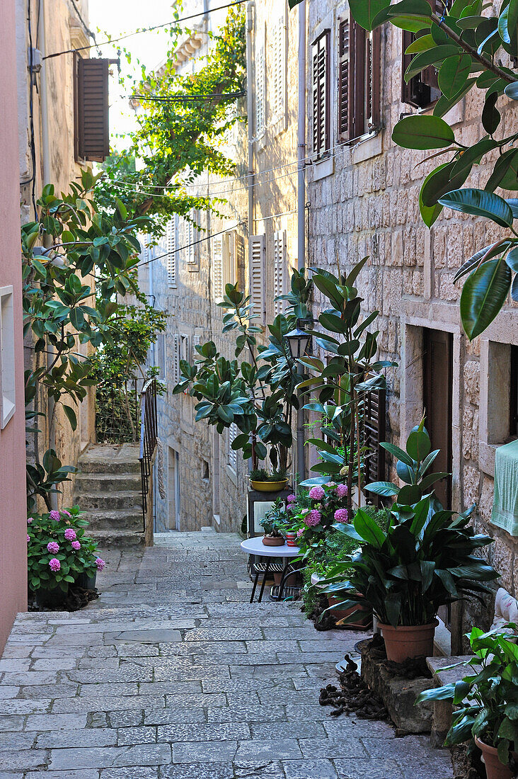 Enge Gasse der Altstadt von Korcula, Insel Korcula, bei Dubrovnik, Dalmatien, Kroatien, Südosteuropa