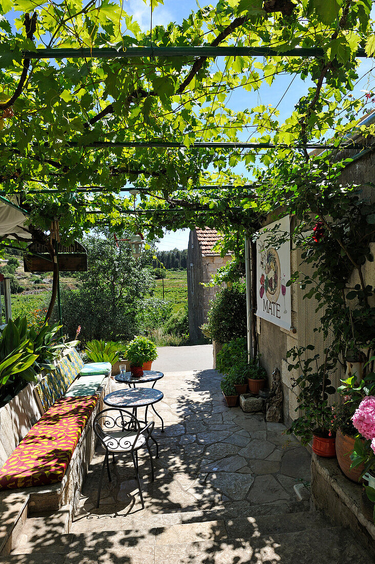 Terrasse unter Weinlaube des Restaurants Konoba Mate, Pupnat, Insel Korcula, bei Dubrovnik, Dalmatien, Kroatien, Südosteuropa