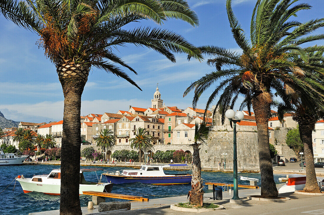 Promenade Svetog Nikole, Altstadt von Korcula, Insel Korcula, bei Dubrovnik, Dalmatien, Kroatien, Südosteuropa