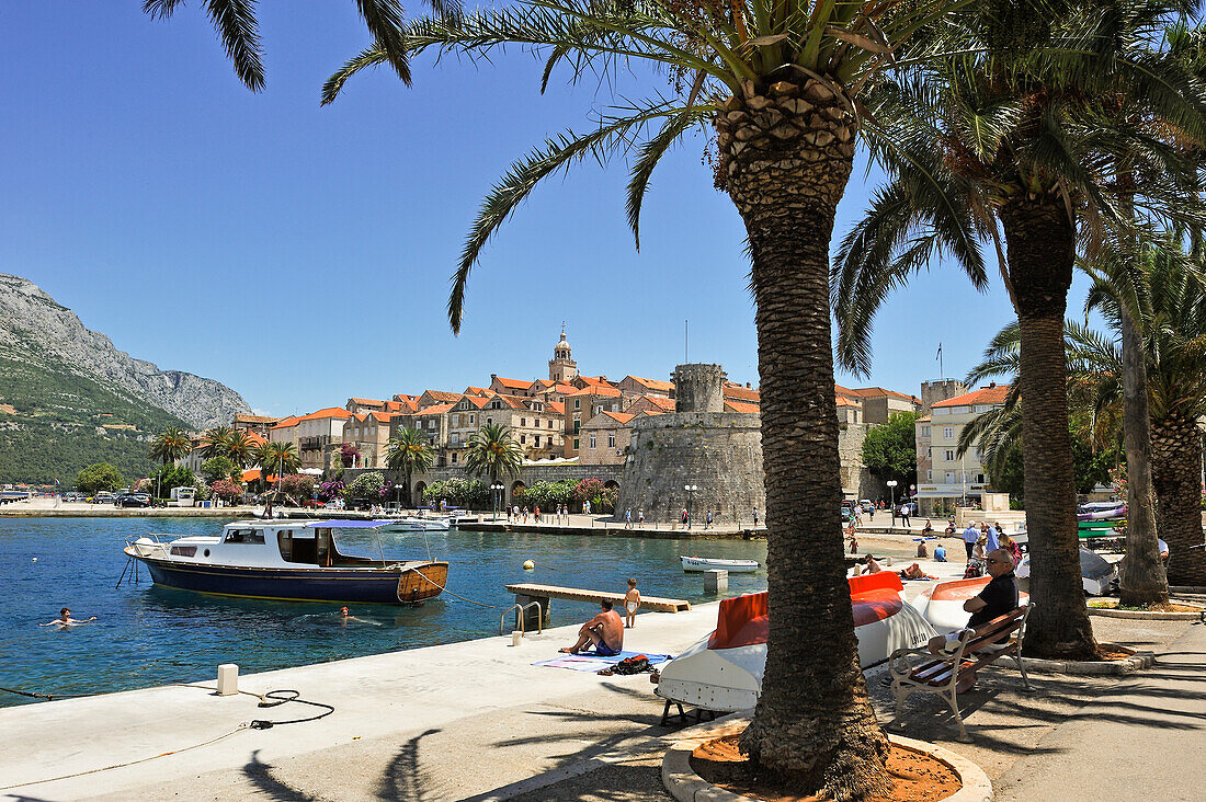 Promenade Svetog Nikole, Altstadt von Korcula, Insel Korcula, bei Dubrovnik, Dalmatien, Kroatien, Südosteuropa