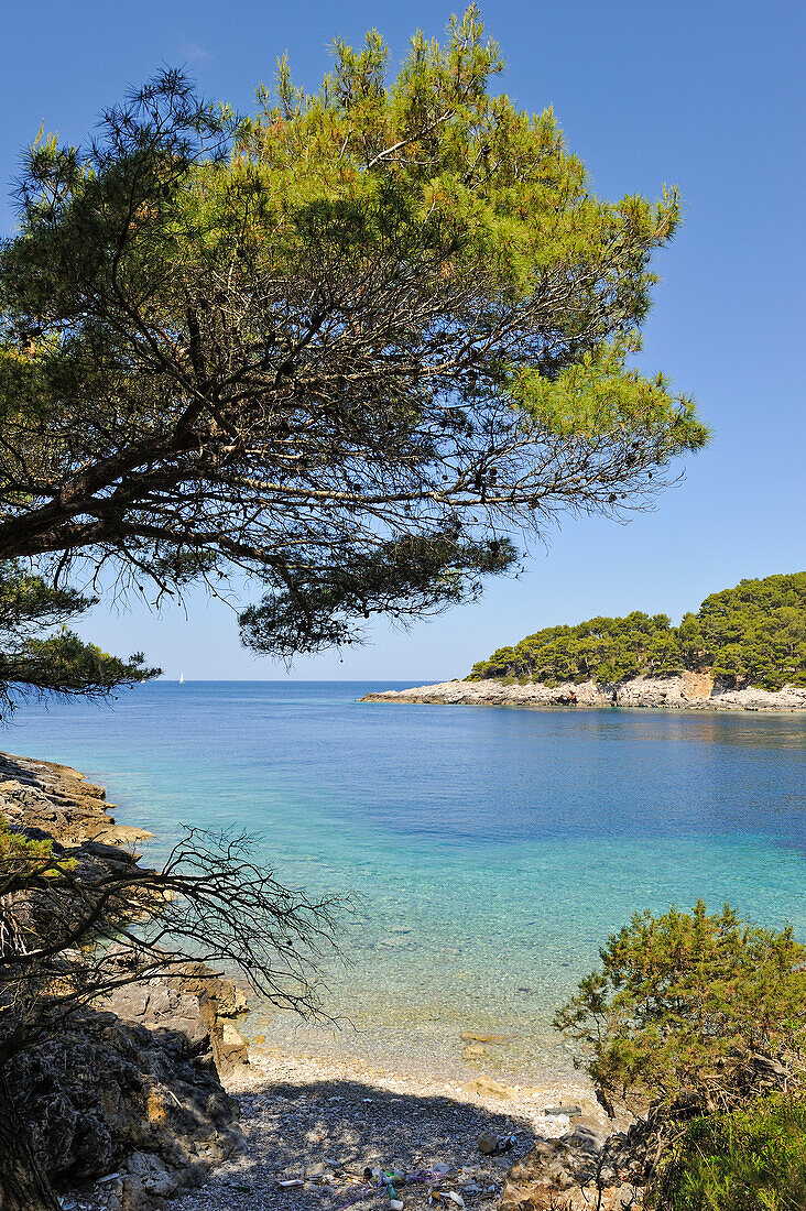 Bucht der kleinen Insel Mrcara im Westen der Insel Lastovo, bei Dubrovnik, Kroatien, Dalmatien, Südosteuropa