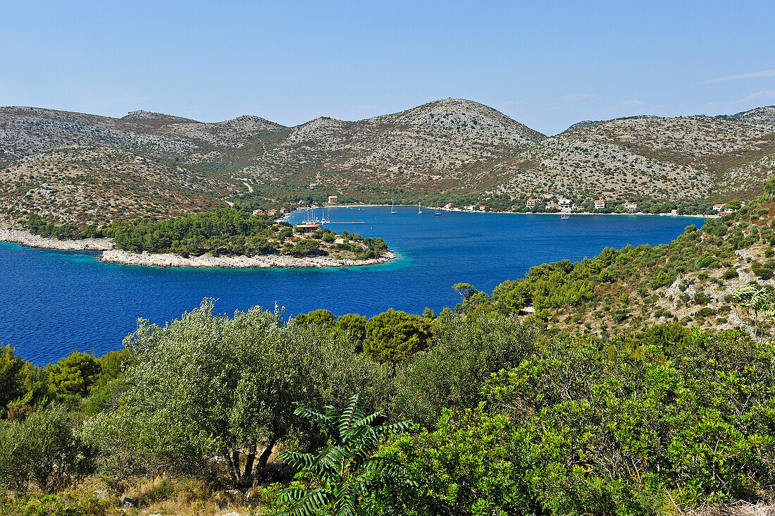 Blick in die Bucht von Skrivena Luka (versteckter Hafen), Insel Lastovo, bei Dubrovnik, Kroatien, Dalmatien, Südosteuropa