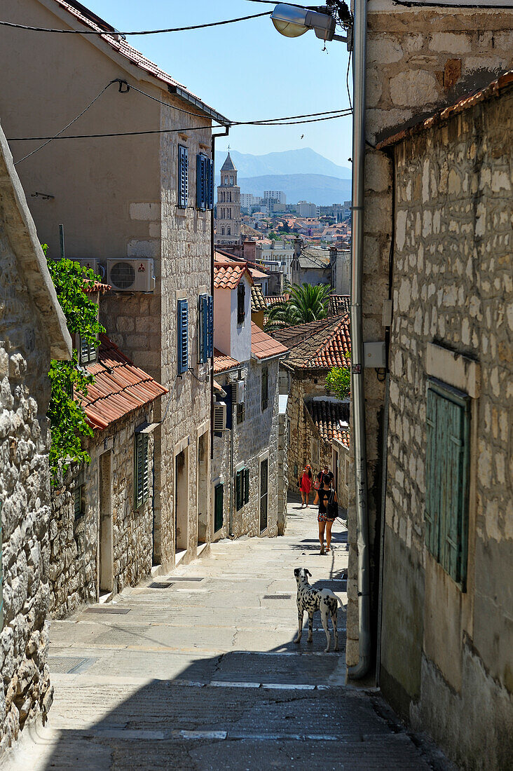 sidestepping (Boticeva setaliste) leading to the Belvedere at Marjane Hill, Split, Croatia, Southeast Europe