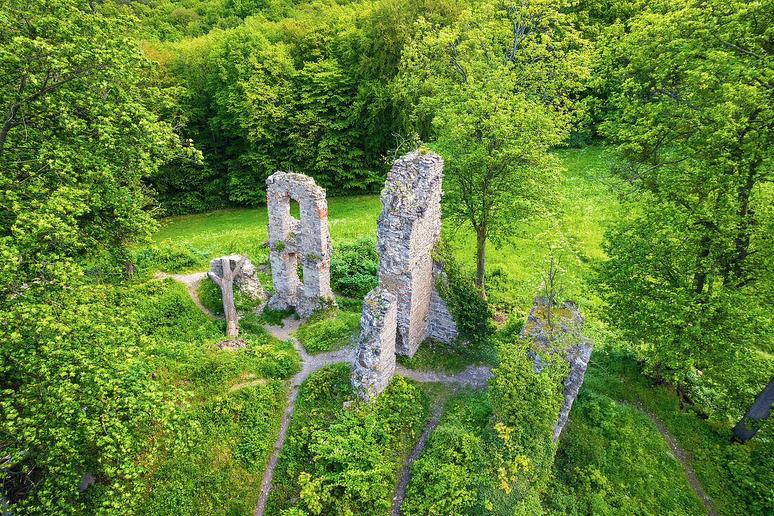 Sommer, Luftaufnahme, Wald, Burg, Burgruine, Stecklenberg, Harz, Sachsen-Anhalt, Deutschland, Europa