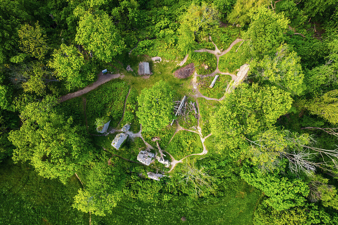  Summer, aerial view, forest, castle, castle ruins, Stecklenberg, Harz, Saxony-Anhalt, Germany, Europe 