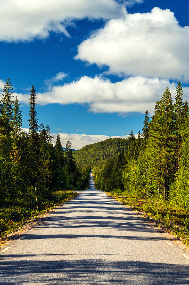 Strasse, Wald, Berge, Wildnis, Weite, Sarek, Lappland, Schweden, Europa