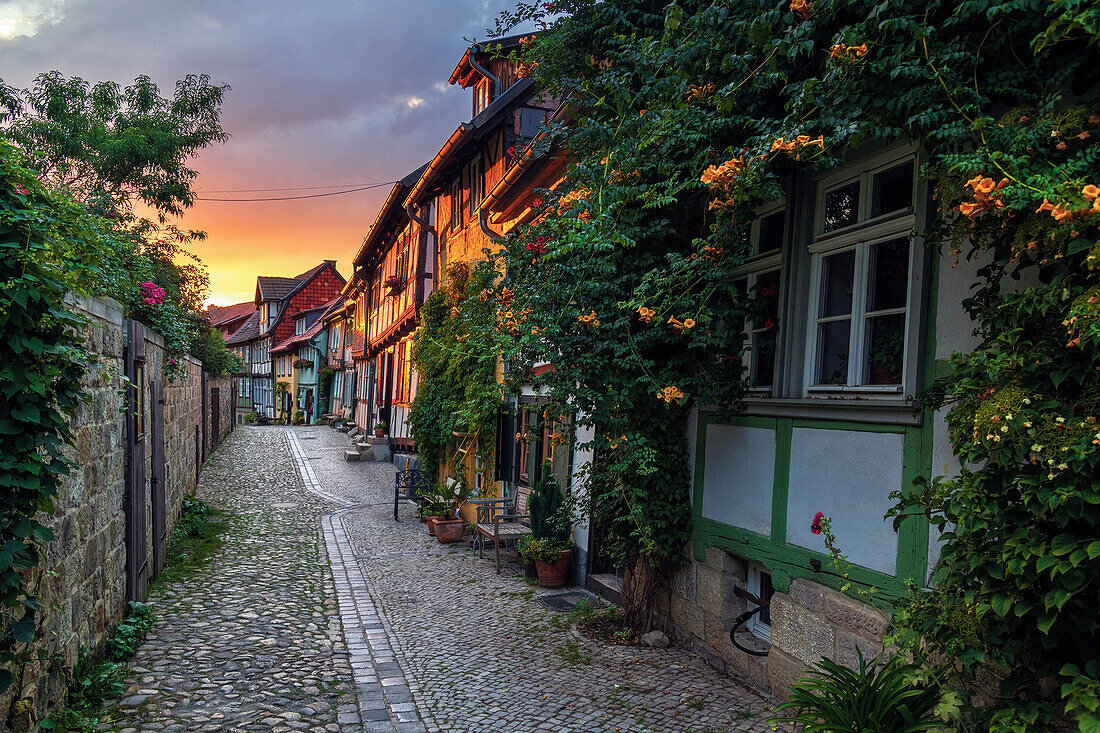 Häuser, Fachwerk, Mittelalter, Quedlinburg, Gasse, Harz, Sachsen-Anhalt, Deutschland, Europa