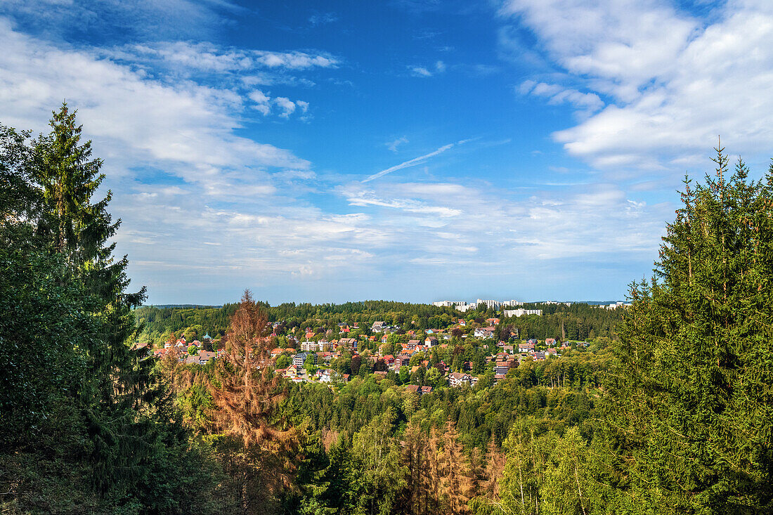  Mountain, forest, Liebesbankweg, view, Bocksberg, Hahnenklee, Harz, Lower Saxony, Germany, Europe 