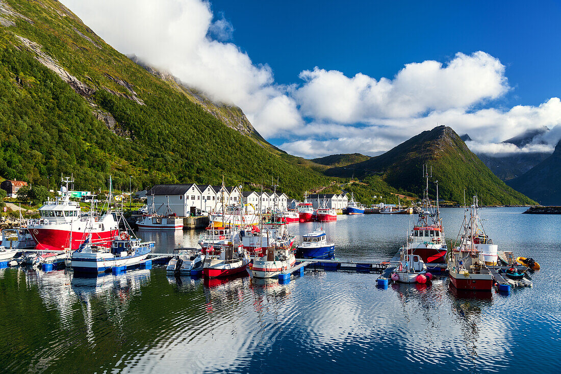 Sommer, Insel, Hafen, Steg, Boote, Berge, Küste, Husoy, Fjord, Senja, Skaland, Norwegen, Europa