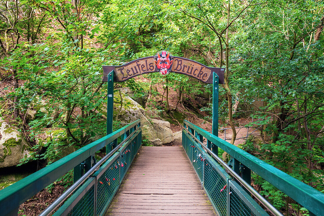 Bode, Bodetal, Teufelsbrücke, Wandern, Wald, Harz, Sachsen-Anhalt, Deutschland, Europa