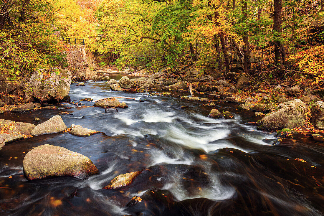  Bode, Bodetal, river, foliage, autumn, hiking, forest, Thale, Harz, Saxony-Anhalt, Germany, Europe 