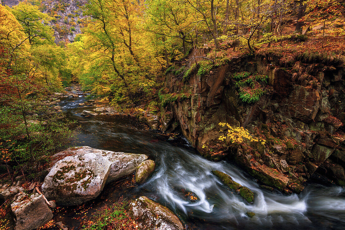  Bode, Bodetal, river, foliage, autumn, hiking, forest, Thale, Harz, Saxony-Anhalt, Germany, Europe 