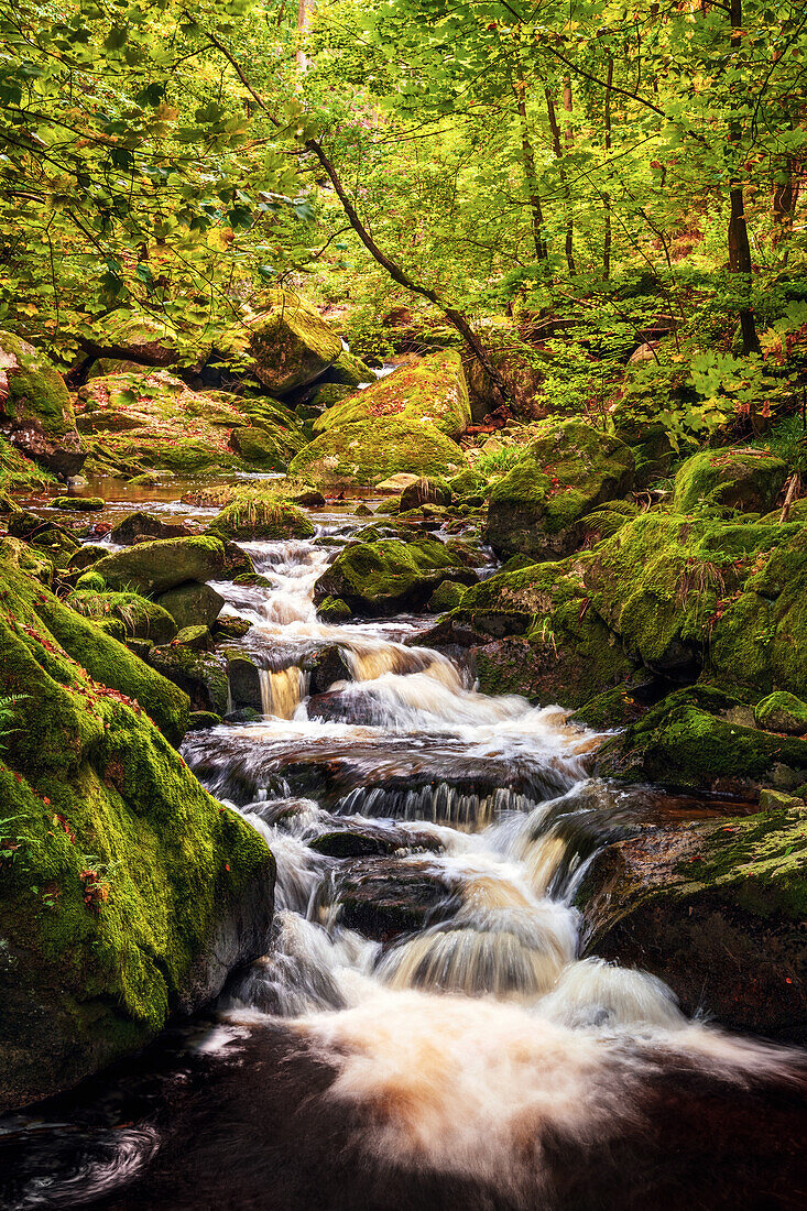  forest, water, river, waterfall, valley, Ilsetal, Ilsenburg, Harz, Saxony-Anhalt, Germany, Europe 