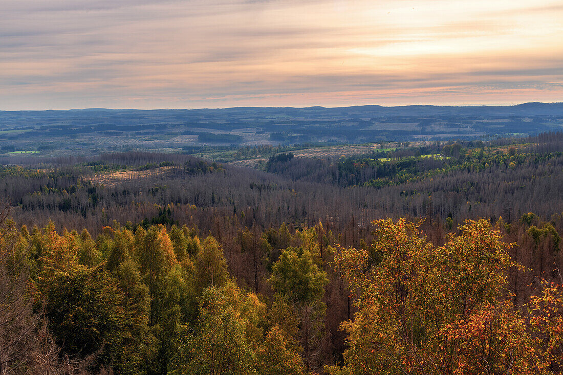 Trudenstein, Sonnenuntergang, Goldene Stunde, Klippe, Wald, Harz, Sachsen-Anhalt, Deutschland, Europa