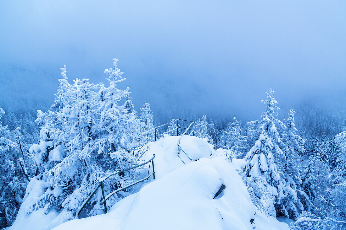 Schnee, Winter, Klippe, Wald, Hammersteinklippe, Oberharz, Harz, Niedersachsen, Deutschland, Europa