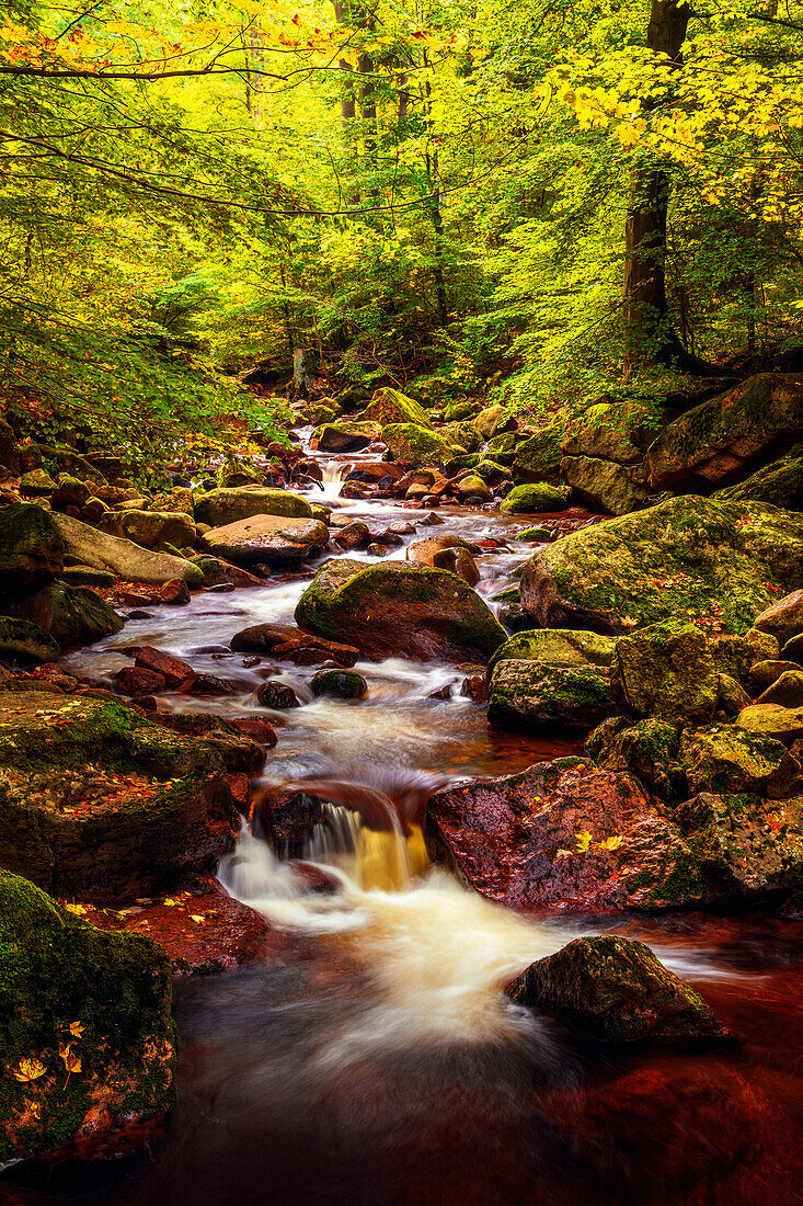 Wald, Wasser, Fluss, Wasserfall, Tal, Ilsetal, Ilsenburg, Harz, Sachsen-Anhalt, Deutschland, Europa