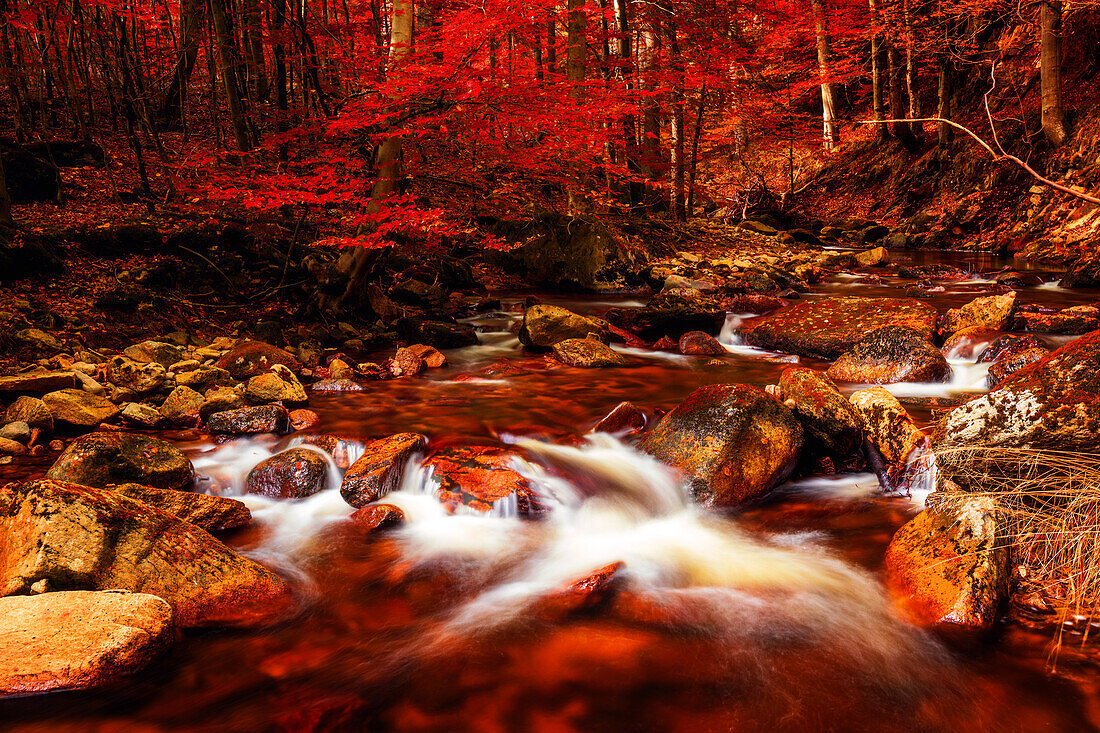  forest, water, river, waterfall, valley, Ilsetal, Ilsenburg, Harz, Saxony-Anhalt, Germany, Europe 