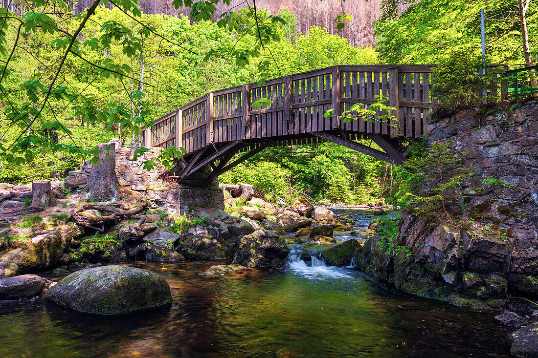 Wasser, See, Oker, Fluss, Brücke, Verlobungsinsel, Okertal, Oker, Harz, Niedersachsen, Deutschland, Europa