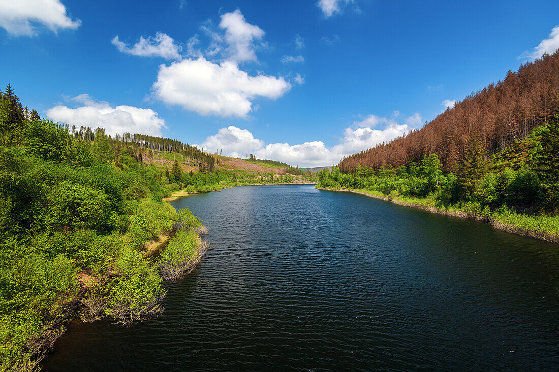 Wasser, See, Oker, Okertalsperre, Okertal, Oker, Harz, Niedersachsen, Deutschland, Europa