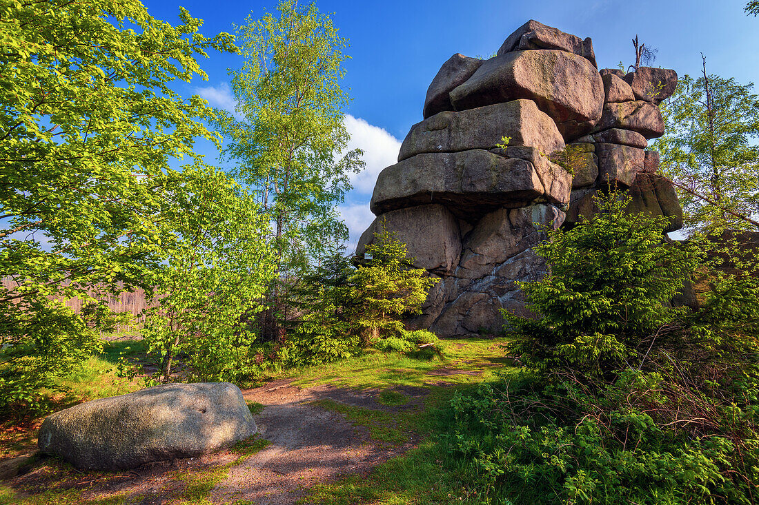 Wanderweg, Klippe, Hexenküche, Oker, Okertalsperre, Okertal, Oker, Harz, Niedersachsen, Deutschland, Europa