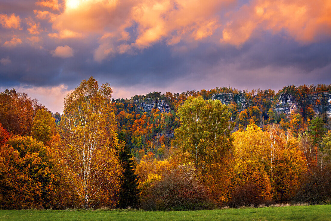 Sonnenuntergang, Goldene Stunde, Klippen, Wald, Bastei, Sächsische Schweiz, Sachsen, Deutschland, Europa