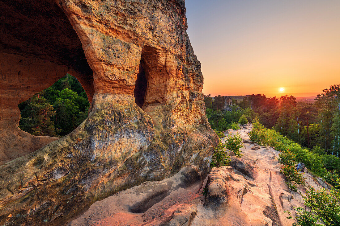  cave, ruin, Klus, Klusfelsen, sandstone, Halberstadt, Harz, Saxony-Anhalt, Germany, Europe 