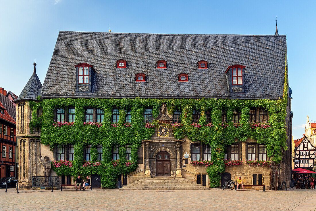  Town Hall, Quedlinburg, Summer, Plants, Market Square, Harz, Saxony-Anhalt, Germany, Europe 