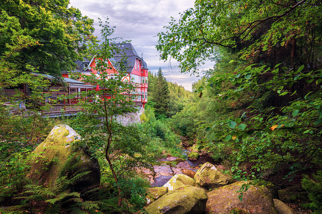  Inn, waterfall, forest, Steinerne Renne, Wenigerode, Harz, Saxony-Anhalt, Germany, Europe 